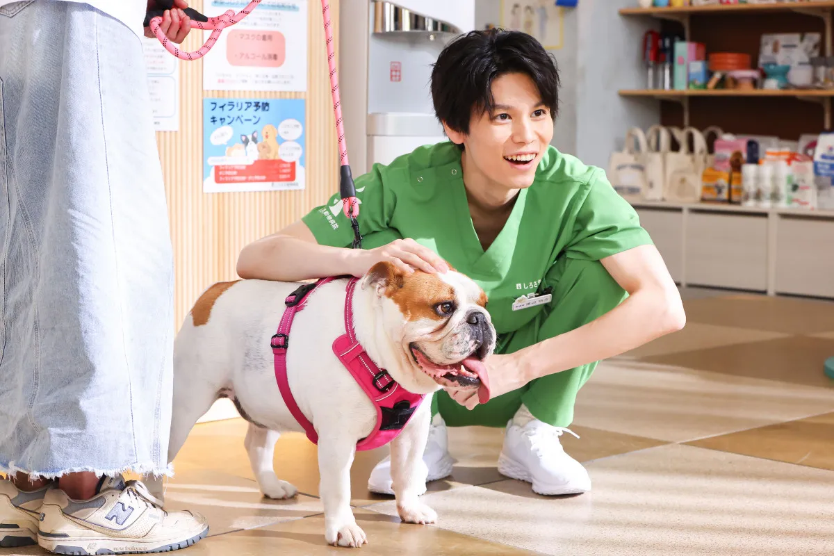 萩原利久『初恋DOGs』で見せる“陽キャ”な動物看護師「撮影現場の雰囲気を1段階上げられたら」