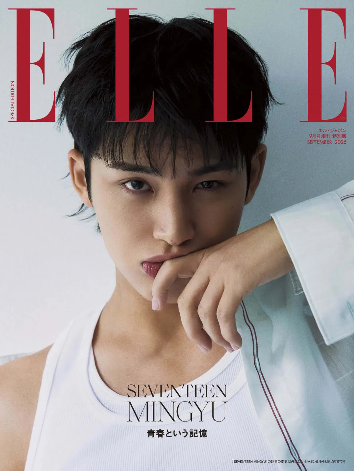ミンギュ、SEVENTEENは“家族”「当然のように隣にいる」　音楽と仲間に支えられてきたこれまでを振り返る