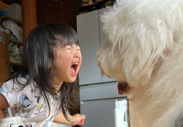 「元気すぎて尊いバトル」どデカい犬とケンカする3歳女児の“顔”が「魂で戦ってる」　普段の様子を母親に聞いた