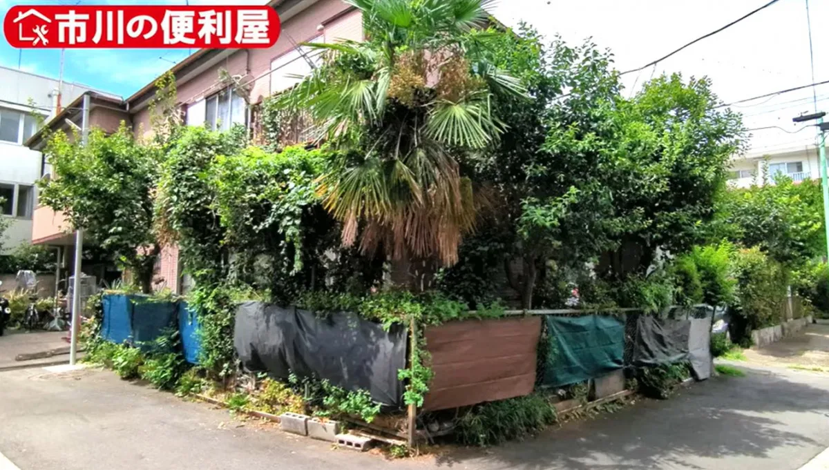30年放置されジャングル化した都内の一軒家、大伐採した結果…2日後の姿に「別世界！」「通常なら30万案件」