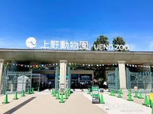 上野動物園のミミセンザンコウ死ぬ　センザンコウは国内展示ゼロに　パンダより先に　台湾で保護のメス