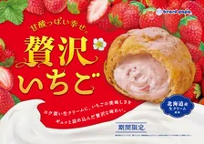 ビアードパパ、新春を彩る『贅沢いちご』が2026年も　1日約12万個売り上げた人気商品