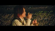 Mrs. GREEN APPLE「ダーリン」、ドーム公演のライブ映像が解禁