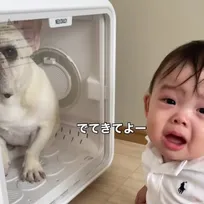 「もう出てこれない…？」ワンちゃんを"ある場所"で発見した赤ちゃん、突然の涙に「助けなきゃと思ったのかな」「健気すぎる」