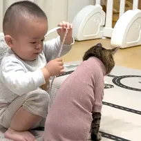 猫の体をメジャーで採寸する1歳児、可愛すぎるコンビに126万回再生「将来はテーラーさんですね」「まさに哀愁の猫背」