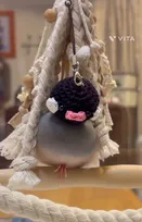 「一体化すると笑ってしまいます」 文鳥の頭が"あるもの"にすっぽり、自然と始まった習慣に「かしこい～」