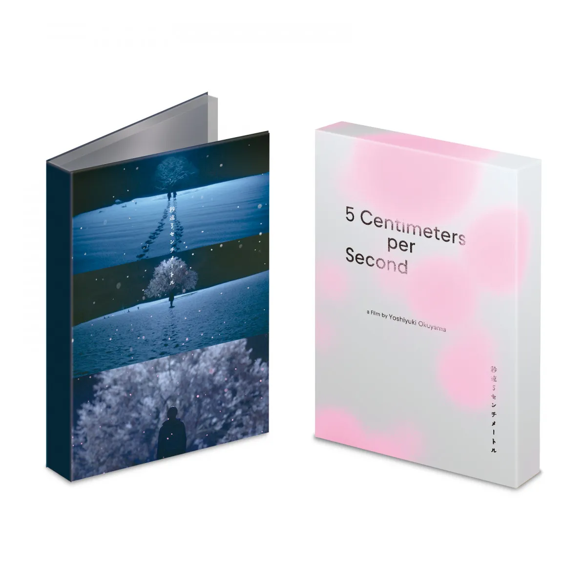 実写版『秒速5センチメートル』Blu-ray＆DVD発売決定　主演・松村北斗のコメントも到着