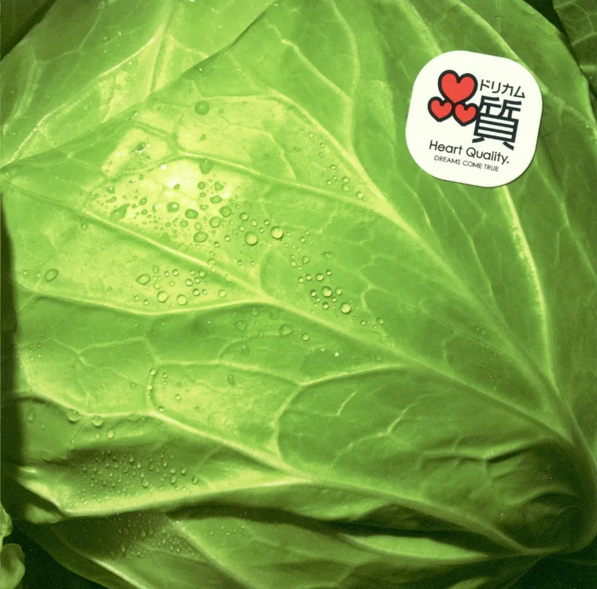 DREAMS COME TRUE、「何度でも」が自身2作目の累積再生数1億回突破【オリコンランキング】