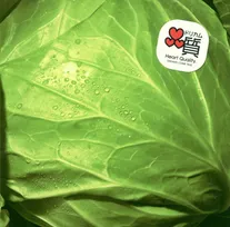 DREAMS COME TRUE、「何度でも」が自身2作目の累積再生数1億回突破【オリコンランキング】