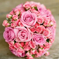 フリーアナウンサー・中村葉月、動物園広報の男性との結婚を発表　2ショットを公開　「仕事を第一に考え別居婚」を選択