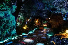 創業95年「つきじ治作」、幻想的な光と音の新たなおもてなし『澄池』始動…次の100年へ