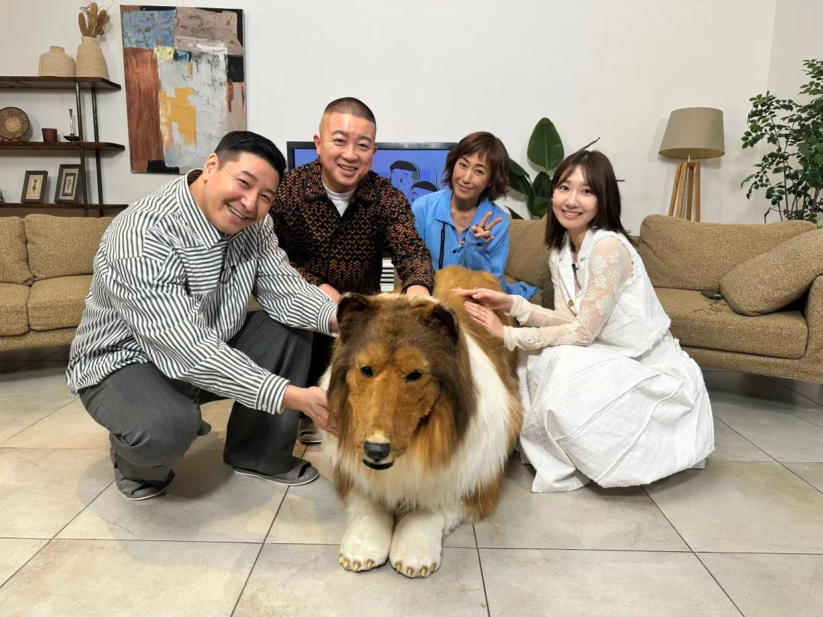 『買い主が見てみたい』チョコプラ、高島礼子、柏木由紀が私物をフリマで出品→売れ行きを観察