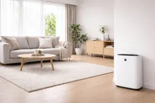 「鼻がムズムズ…」「そろそろ花粉きた…」花粉症悩みが尽きない季節に効果的な空気清浄機