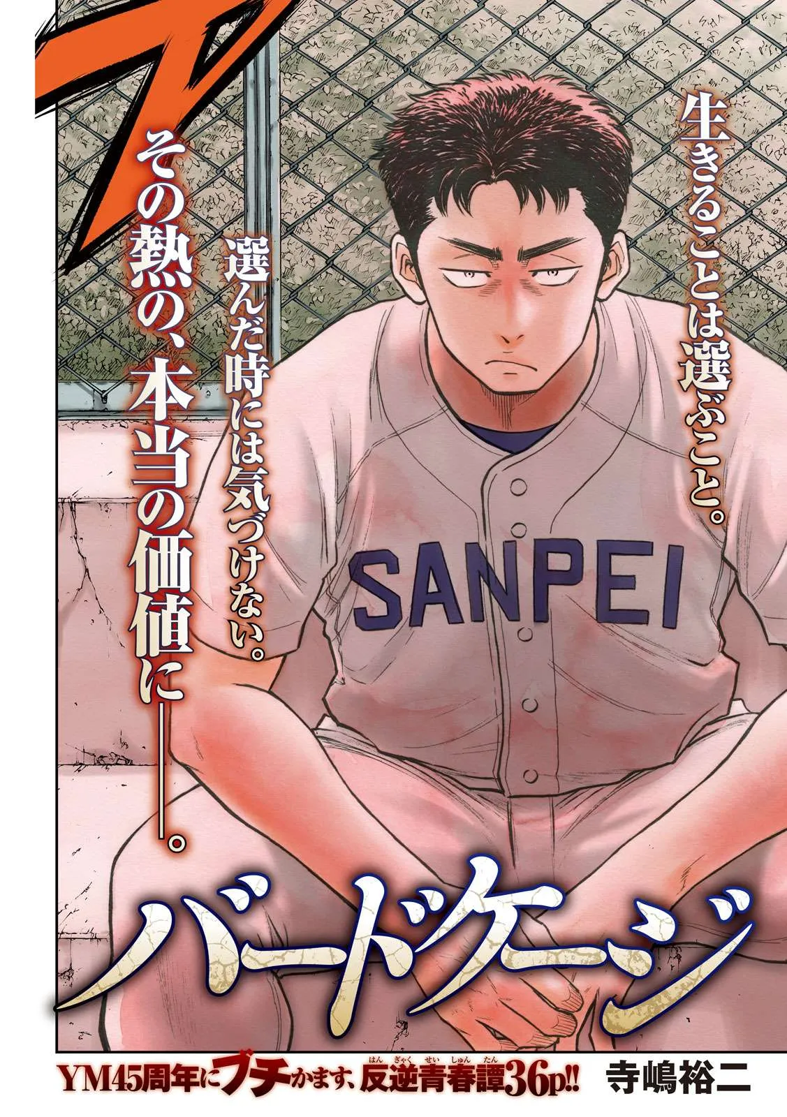 『ダイヤのA』作者、新作の特別読切は野球漫画　『バードケージ』ヤンマガ初登場でページ公開