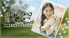 ワンちゃんたちの“可愛すぎる”瞬間を収めたビジュアルマガジン『月刊わんこ』、掲載モデルをオーディションで募集