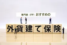 専門家（FP）が選んだおすすめの外貨建て保険、2026年最新1位は？