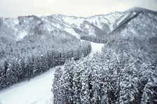 【ミラノ・コルティナ五輪】クロスカントリーで「犬」が“ゴール”「記録は不明です」　SNS反響「グッズ化してほしい」「イッヌフィニッシュw」