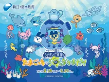 「新江ノ島水族館」にたまごっちが登場　“あぽろっち”そっくりなウーパールーパーも