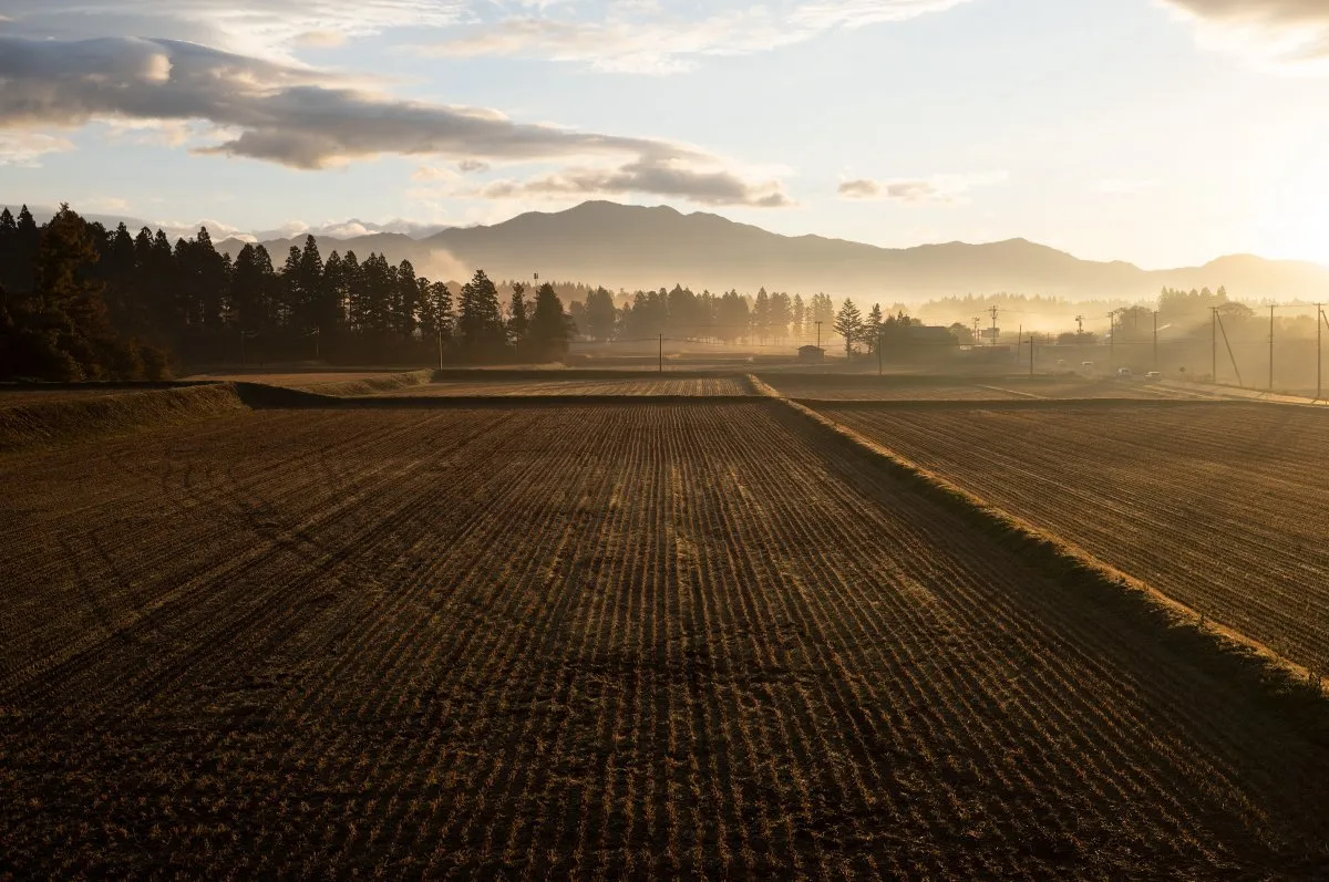 カメラ・レンズメーカー「シグマ」が農業に進出、コメづくり開始　会津地域「重要な責任」と理由説明