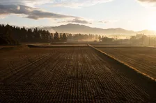 カメラ・レンズメーカー「シグマ」が農業に進出、コメづくり開始　会津地域「重要な責任」と理由説明