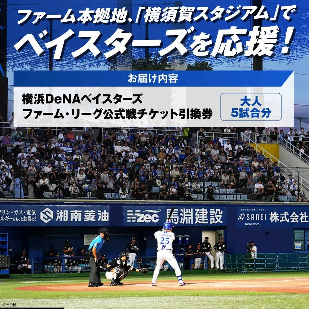 横浜DeNAベイスターズが横須賀市ふるさと納税返礼品の提供を開始　“第1弾”はオリジナルパッケージの焼きプリン、ファーム公式戦招待券の2種