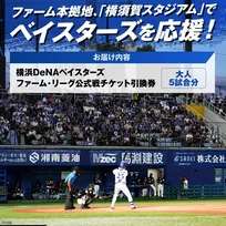 横浜DeNAベイスターズが横須賀市ふるさと納税返礼品の提供を開始　“第1弾”はオリジナルパッケージの焼きプリン、ファーム公式戦招待券の2種