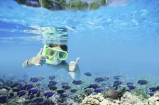 おすすめの海外アクティビティ予約サイトランキング初発表！ 2026年1位は？