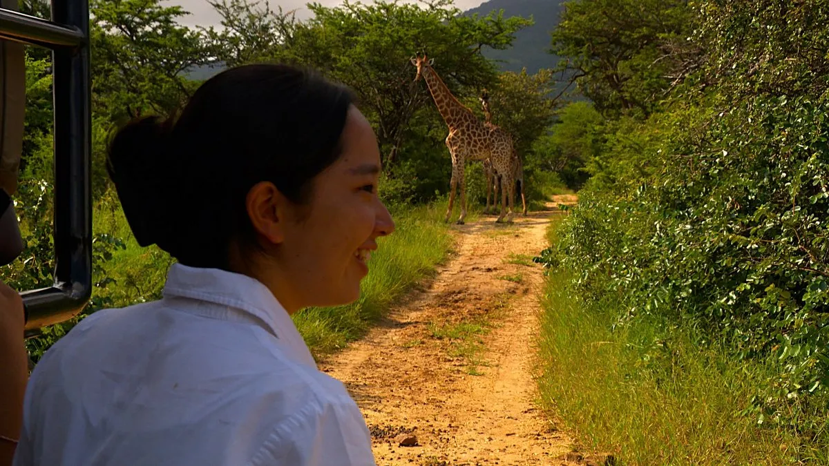 NHK『ダーウィンが来た！』20周年記念回、放送決定　番組きっかけにサファリガイド・獣医師など夢を実現した現場とコラボ【コメントあり】