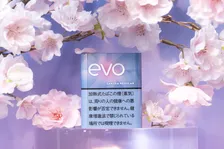 史上初の“投票”で決定、プルーム専用スティック「エボ・サクラ・レギュラー」全国発売