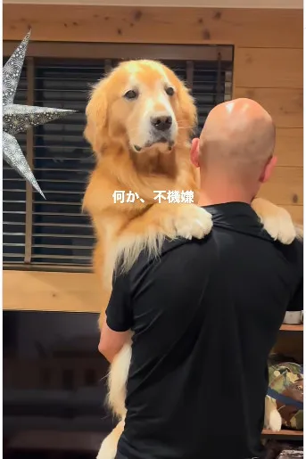 抱っこ好きの犬が"無の境地"に？　お風呂上りに漂う哀愁「人間が中に入ってます？」「おっきな赤ちゃんだ」