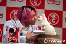 Snow Man佐久間大介、猫愛あふれるあいうえお作文で断言　人間は“かわいいだけじゃ”「全然ダメです！」