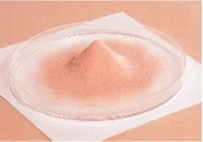 食品成分として世界初、タンパク質「ラクトフェリン」で"のど”の細胞活性化を確認