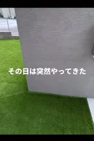 入居3ヵ月で異変…人工芝を使用不能にした生物に「我が家も戦いました」「この痕跡はスゴイｗ」「風船ガム置いて」