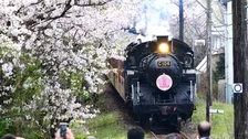 台風被害による半線不通のなか“夢”をどう走らせる？　大井川鐵道が守り続ける「憧れの列車」