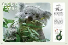 “究極のコアラ愛蔵書”が発売　各動物園のコアラの耳・鼻のサイズの初計測データを収録