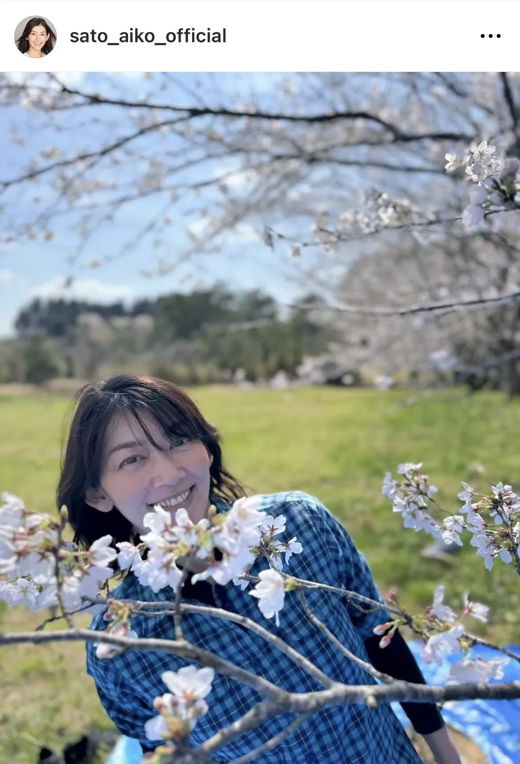 佐藤藍子、“長男＆次男＆末っ子”と春を満喫「フサフサモフモフさん達には、ちょうど良い季節」　愛犬たちとのお花見ショットに反響「にぎやかで楽しそうなご家族ですね」