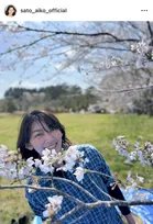 佐藤藍子、“長男＆次男＆末っ子”と春を満喫「フサフサモフモフさん達には、ちょうど良い季節」　愛犬たちとのお花見ショットに反響「にぎやかで楽しそうなご家族ですね」