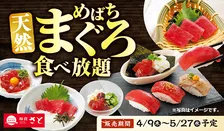 和食さと「天然めばちまぐろ食べ放題」発表　まぐろのお造り、寿司、丼、一品料理も【概要・価格】