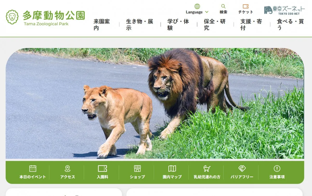多摩動物公園、サクラ倒木事故で“警戒”　都立公園で発生ふまえ、一部通行を規制