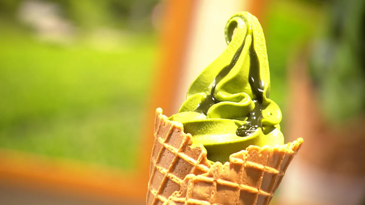 関西のライバル百貨店が称賛したグルメ、「今まで食べた中で一番濃い抹茶ソフト」…他店がうなる理由『水野真紀の魔法のレストラン』