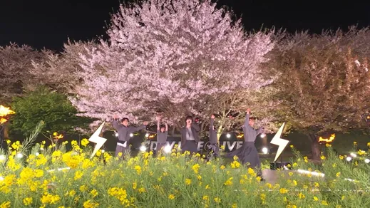 STARGLOW、「USOTSUKI」ライブ映像を期間限定公開　桜並木を舞台にエモーショナルなパフォーマンス