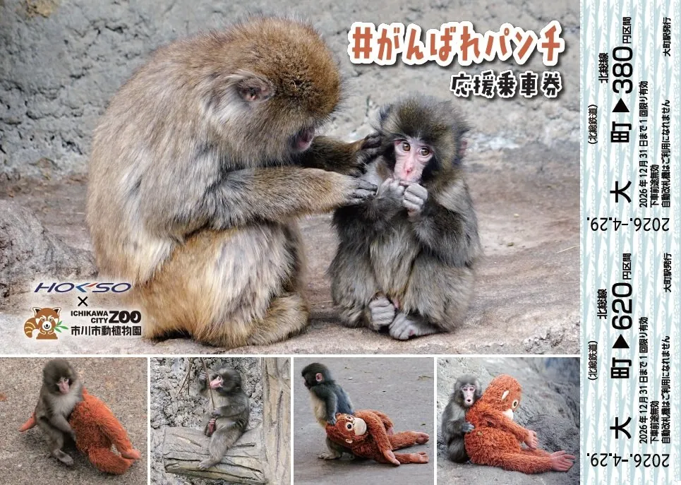 “パンチくん”の記念乗車券発売へ　北総鉄道、コラボイベントも実施　複数の写真を配置