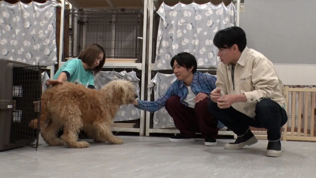 横山裕、相葉雅紀と再び“保護犬トリミング”　親友同士の本音トークも