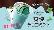 【きょうから】カフェ・ド・クリエ「ミン活」解禁　昨年比1.5倍のミント感が味わえる「ソルベージュ　爽快チョコミント」登場