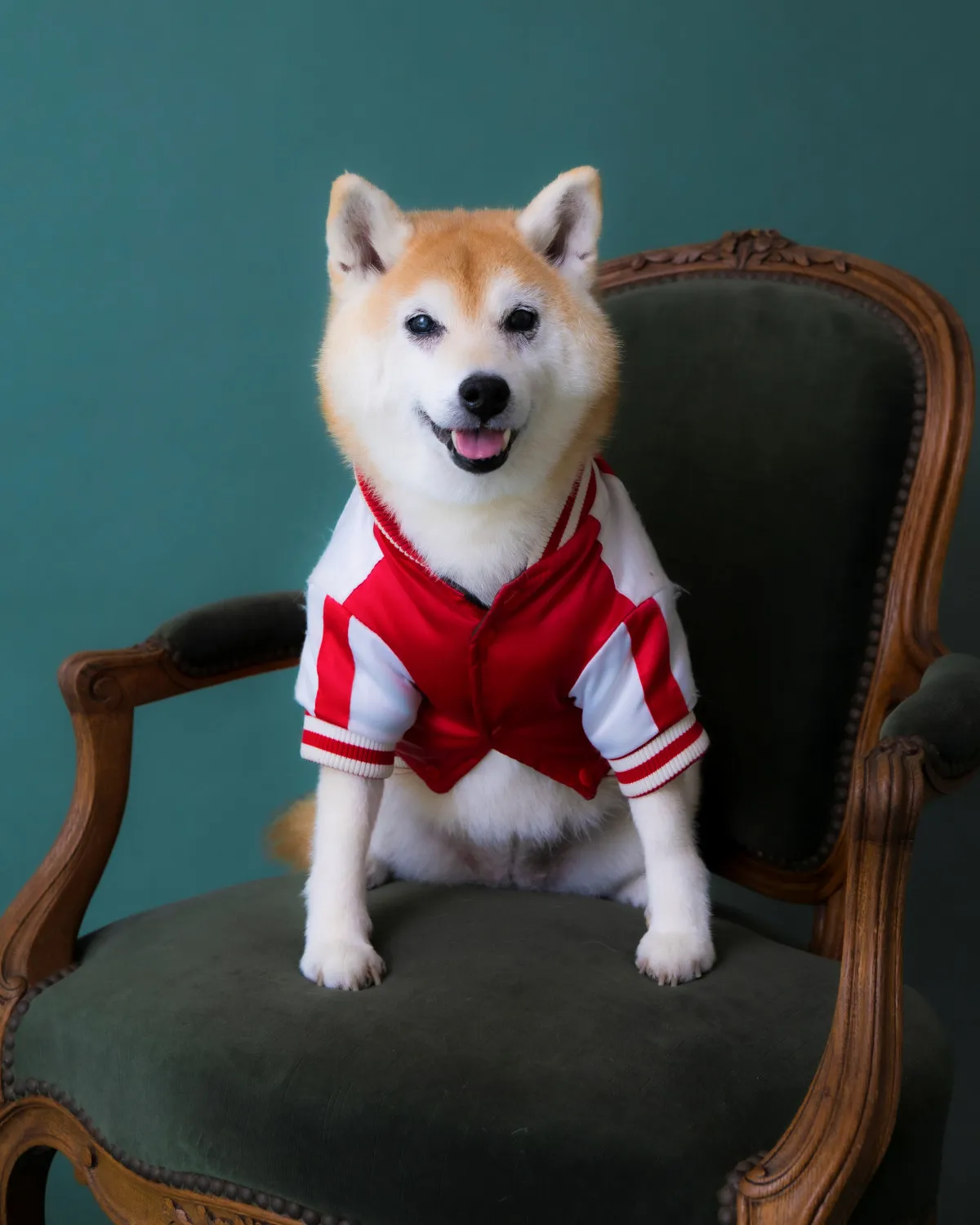 アキナ山名、愛犬「おまめ」との日々を描いたエッセイ刊行決定　妻の宇都宮まきとイベントも