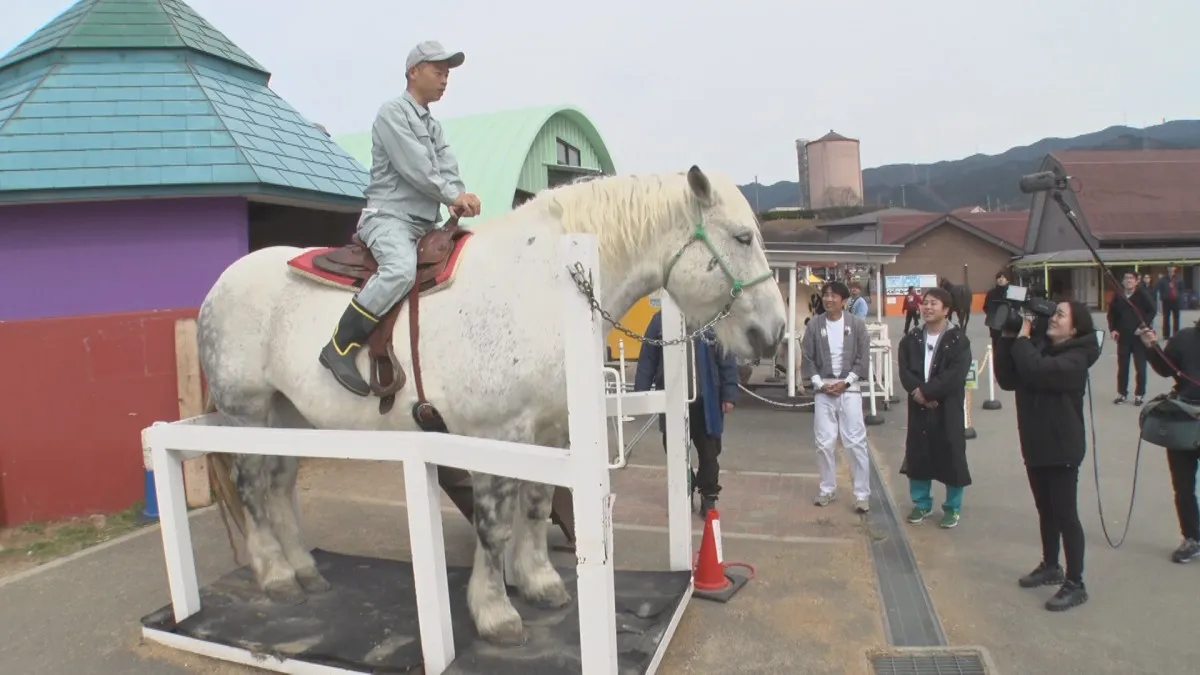 世界最大級の馬がいる…大阪府内に甲子園球場“約7倍”の牧場　同年生まれ芸人がロケ『大阪ほんわかテレビ』