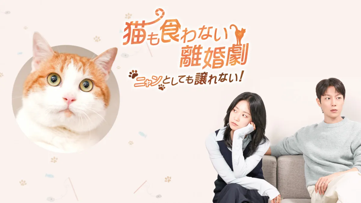ユン・ドゥジュン＆キム・スルギ、10年ぶり共演　韓国ドラマ『猫も食わない離婚劇～ニャンとしても譲れない！～』、FODで配信決定