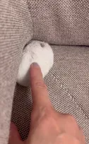 「全力抵抗！」ケージに戻るまいとするハムスターとの攻防戦、飼い主さん「かわいいやつめ、と憎めませんでした」