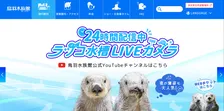 国内で2頭…ラッコのメイに「大切なお知らせ」　鳥羽水族館「体力の衰えが見えはじめています」　今後の公開とお願いについて説明