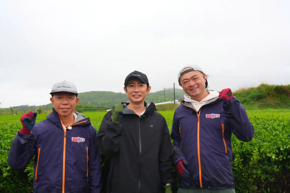 相葉雅紀、初めて食べる「茶葉の天ぷら」に感激　鹿児島SP第1弾でお茶づくり体験